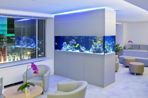 office Aquaria custom